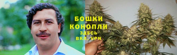 сатива Баксан