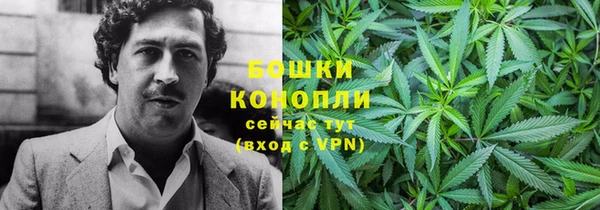 сатива Баксан