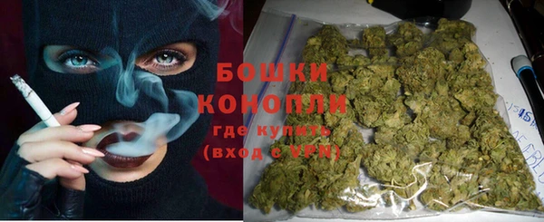 сатива Баксан
