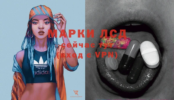 сатива Баксан