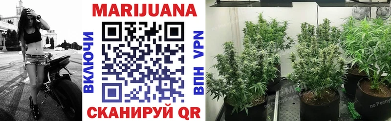 где купить наркотик  Николаевск-на-Амуре  Каннабис THC 21% 